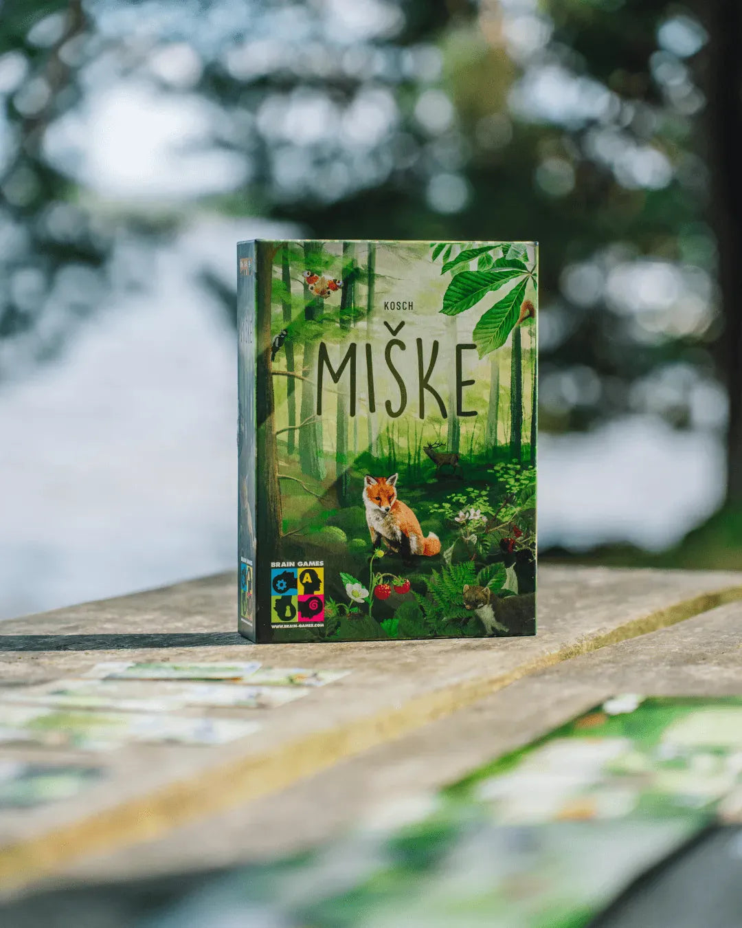 Miške-Stalo žaidimai-Brain Games LT