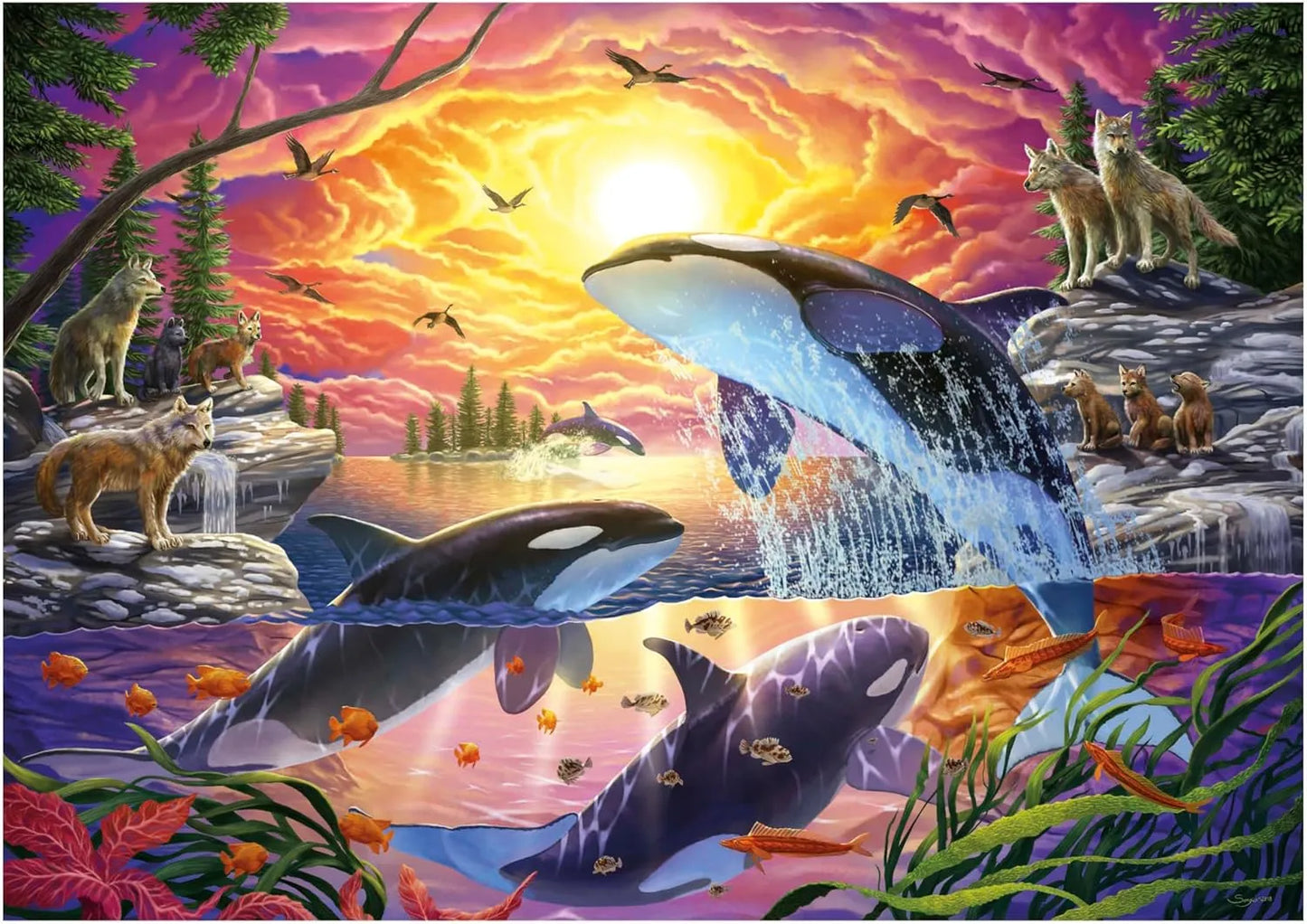 Orcas and Wolves, 4000-Universalios dėlionės-Brain Games LT