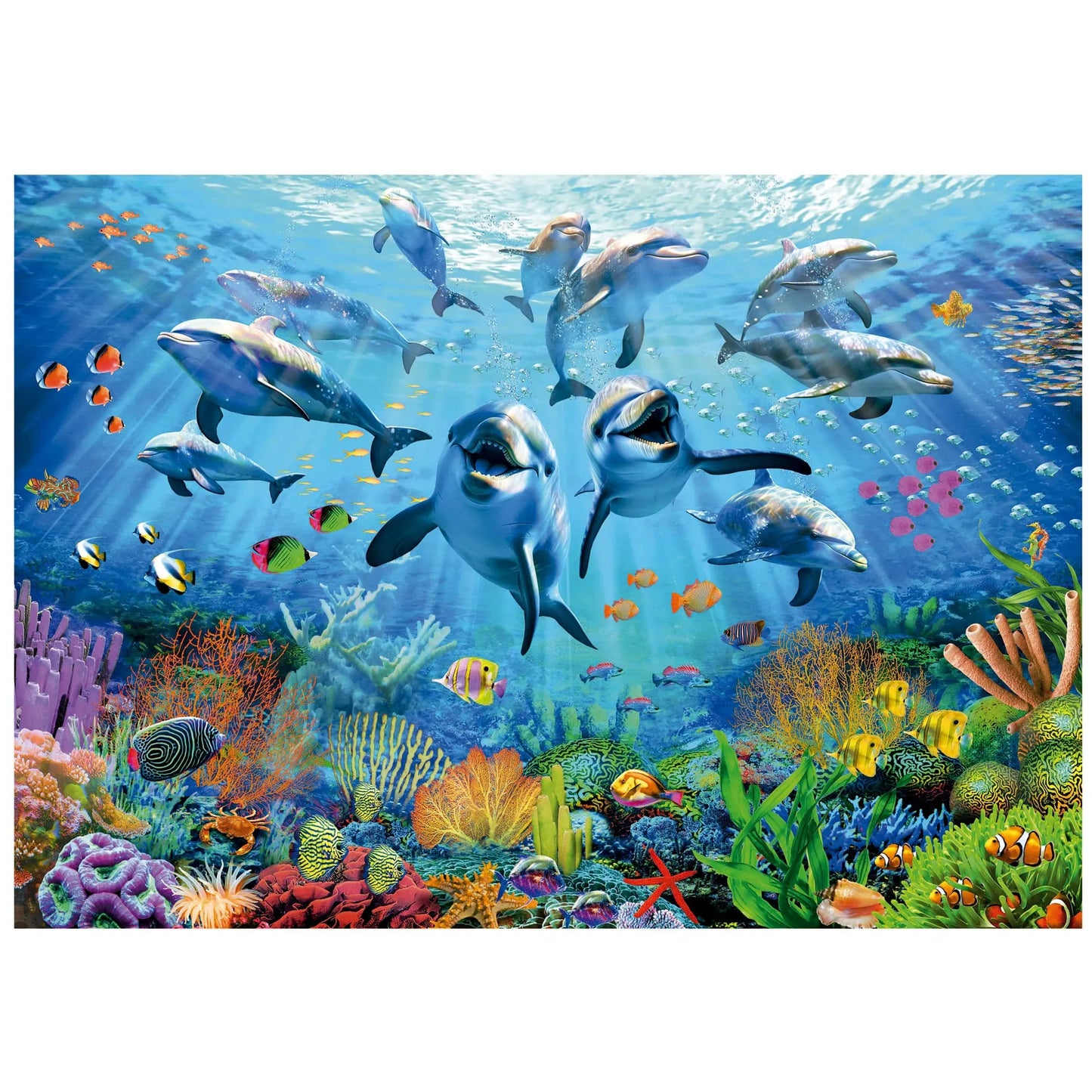 Party under the sea, 500-Universalios dėlionės-Brain Games LT