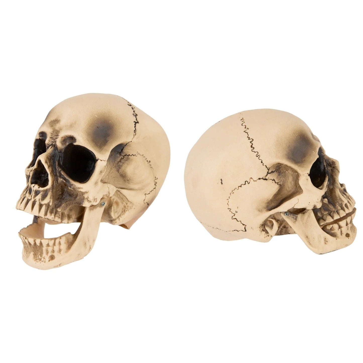 partypal Kita Helovino dekoracija Kaukolė su judančiu žandikauliu