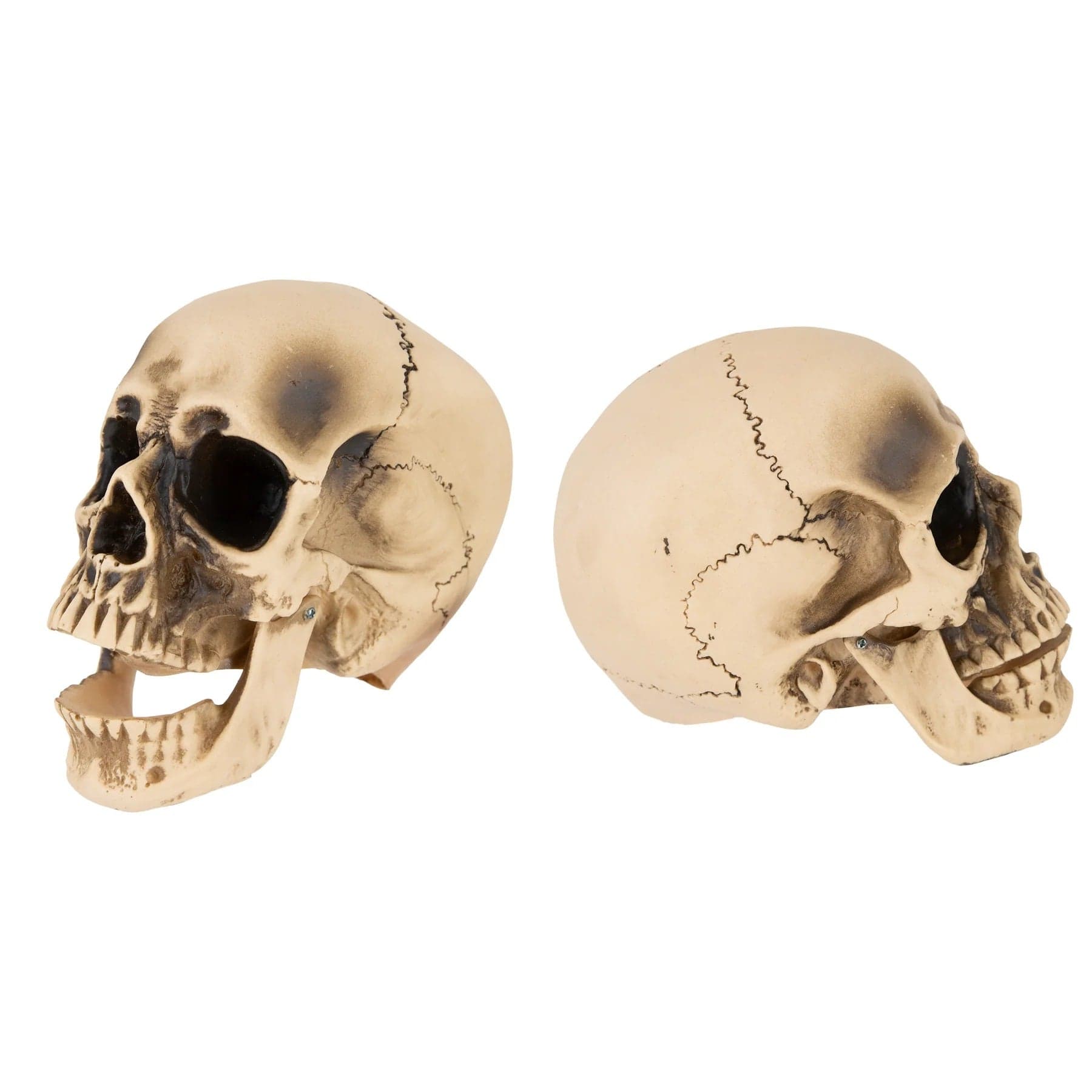 partypal Kita Helovino dekoracija Kaukolė su judančiu žandikauliu