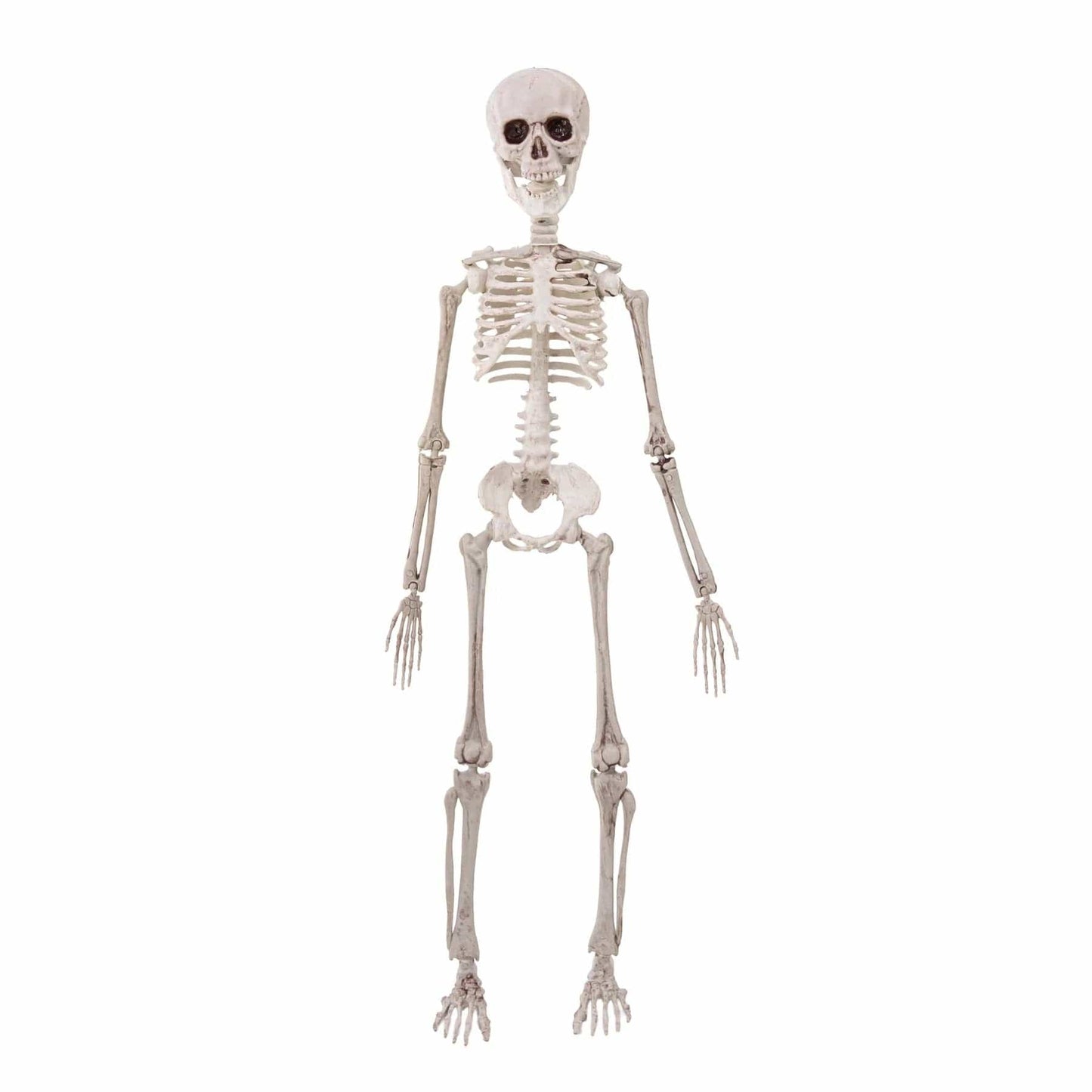 partypal Kita Helovino dekoracija - skeletas, 50 cm