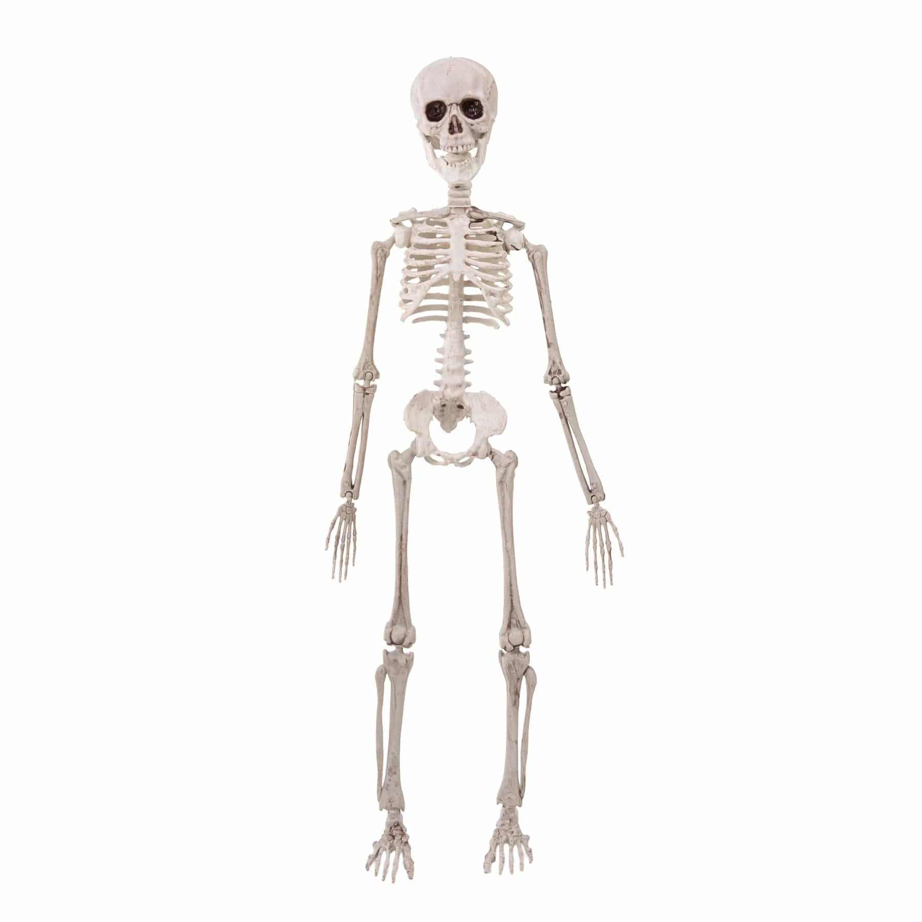 partypal Kita Helovino dekoracija - skeletas, 50 cm