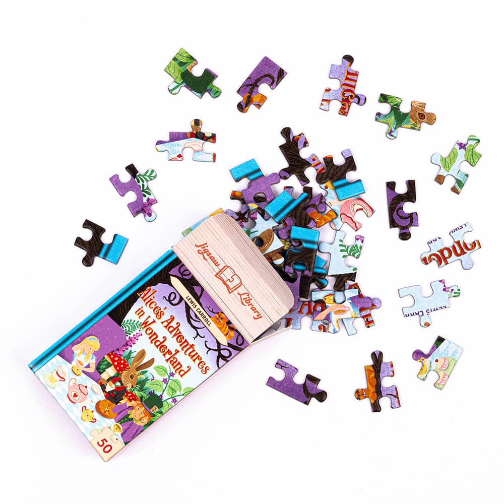 Professor Universalios dėlionės Mini Jigsaw Library dėlionės