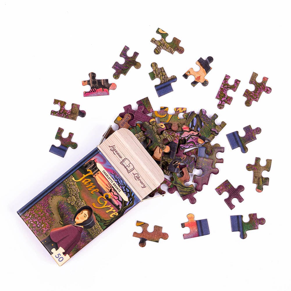 Professor Universalios dėlionės Mini Jigsaw Library dėlionės
