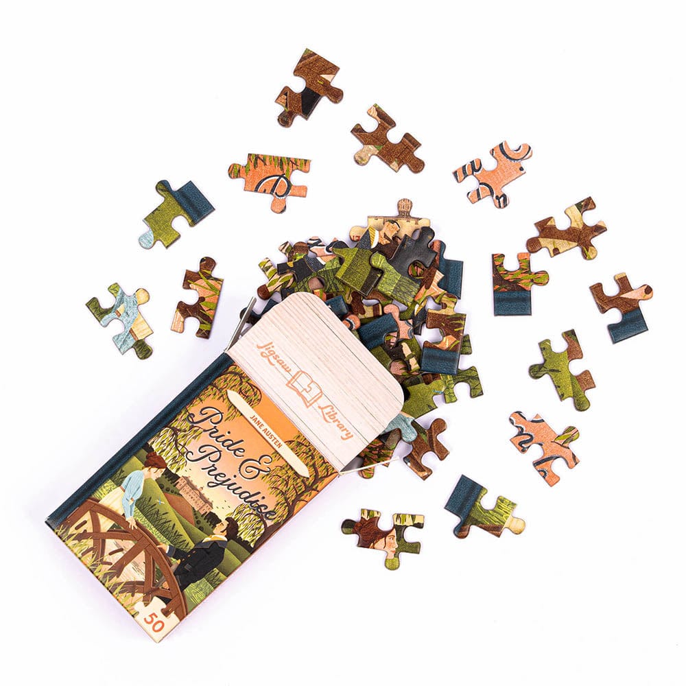 Professor Universalios dėlionės Mini Jigsaw Library dėlionės