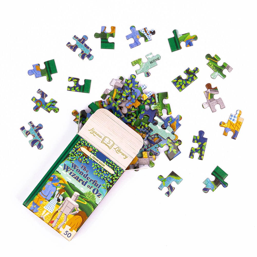Professor Universalios dėlionės Mini Jigsaw Library dėlionės