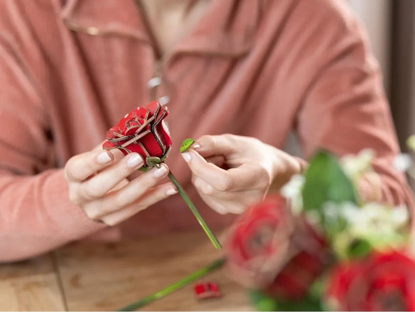 Revell - Dream of Roses – medinis 3D gėlių konstruktorius-Surenkami modeliai-Brain Games LT