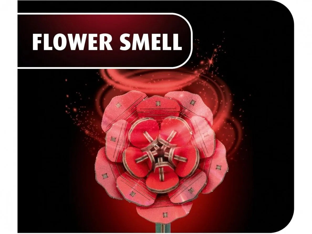 Revell - Dream of Roses – medinis 3D gėlių konstruktorius-Surenkami modeliai-Brain Games LT