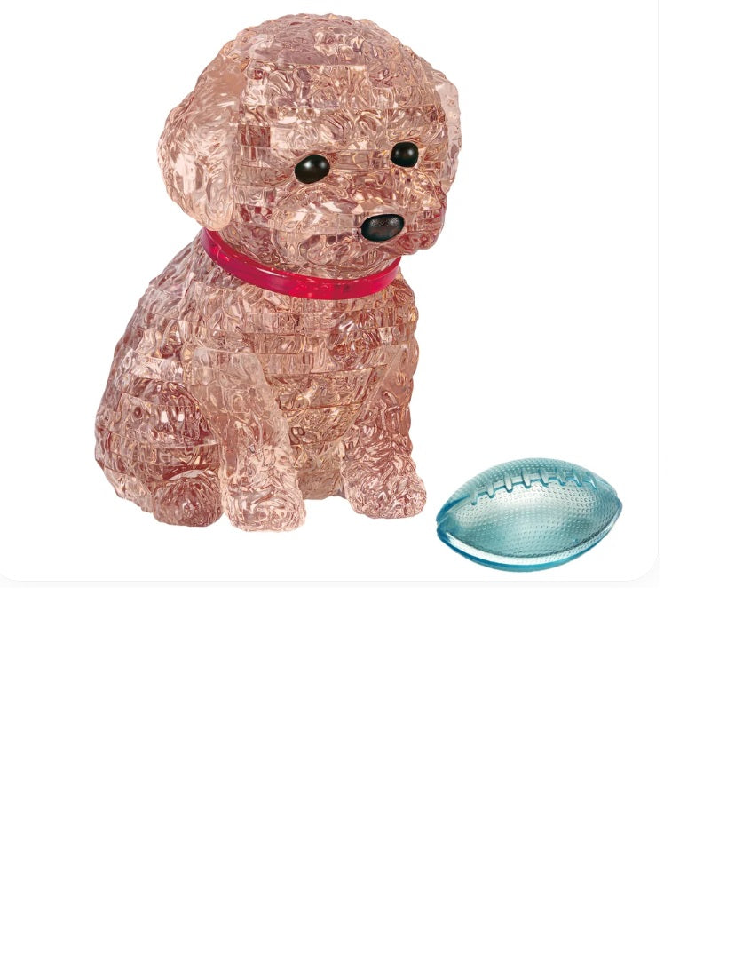 Toy Poodle (rudas)