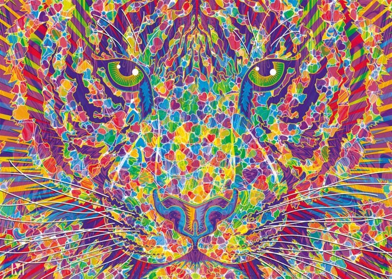 Schmidt Universalios dėlionės Wild at heart – Tiger, 2000