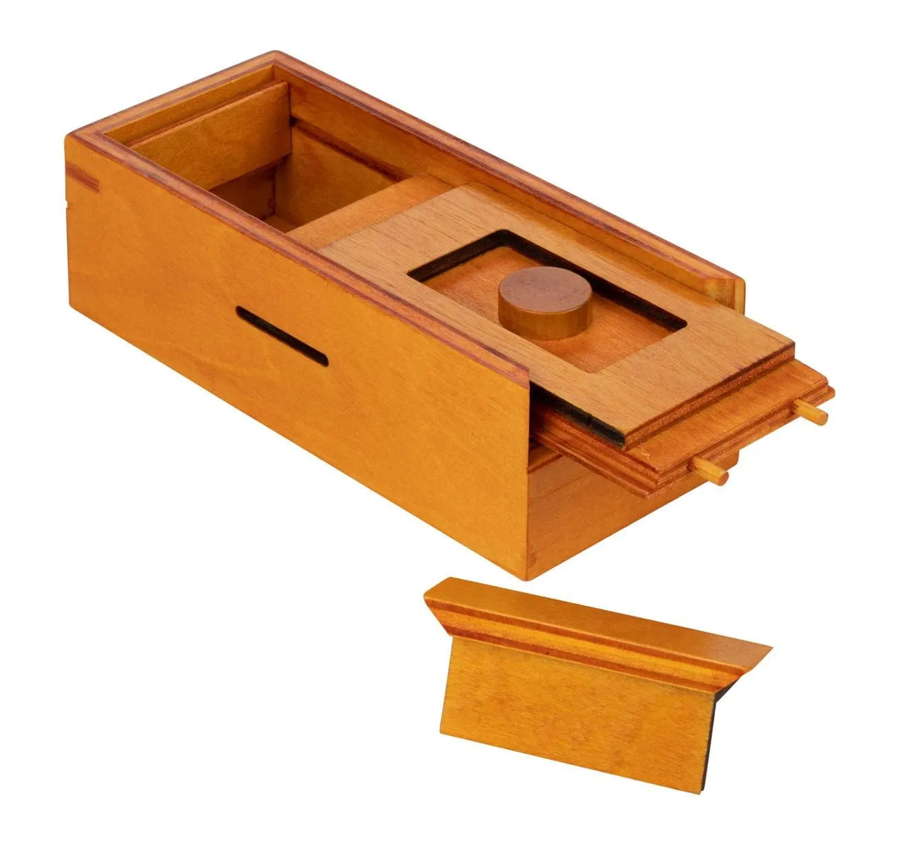Secret Box Circle (5536)-Galvosūkiai-Brain Games LT