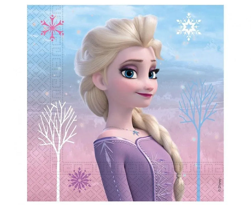 Servetėlės Frozen 2: Wind Spirit-Kita-Brain Games LT