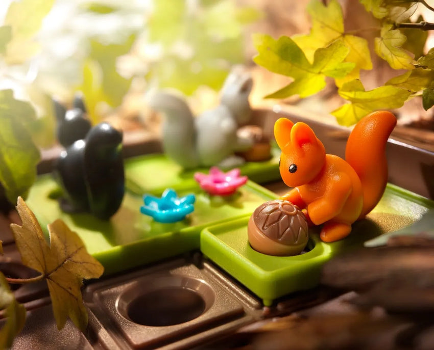 Squirrels Go Nuts-Loginiai Žaidimai-Brain Games LT