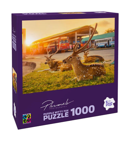 Sri Lanka, Trincomalee, 1000-Universalios dėlionės-Brain Games LT