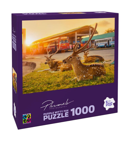 Sri Lanka, Trincomalee, 1000-Universalios dėlionės-Brain Games LT