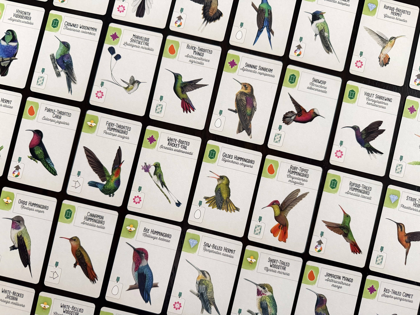 stonemaier games Stalo žaidimai Wingspan Americas EN (papildymas)