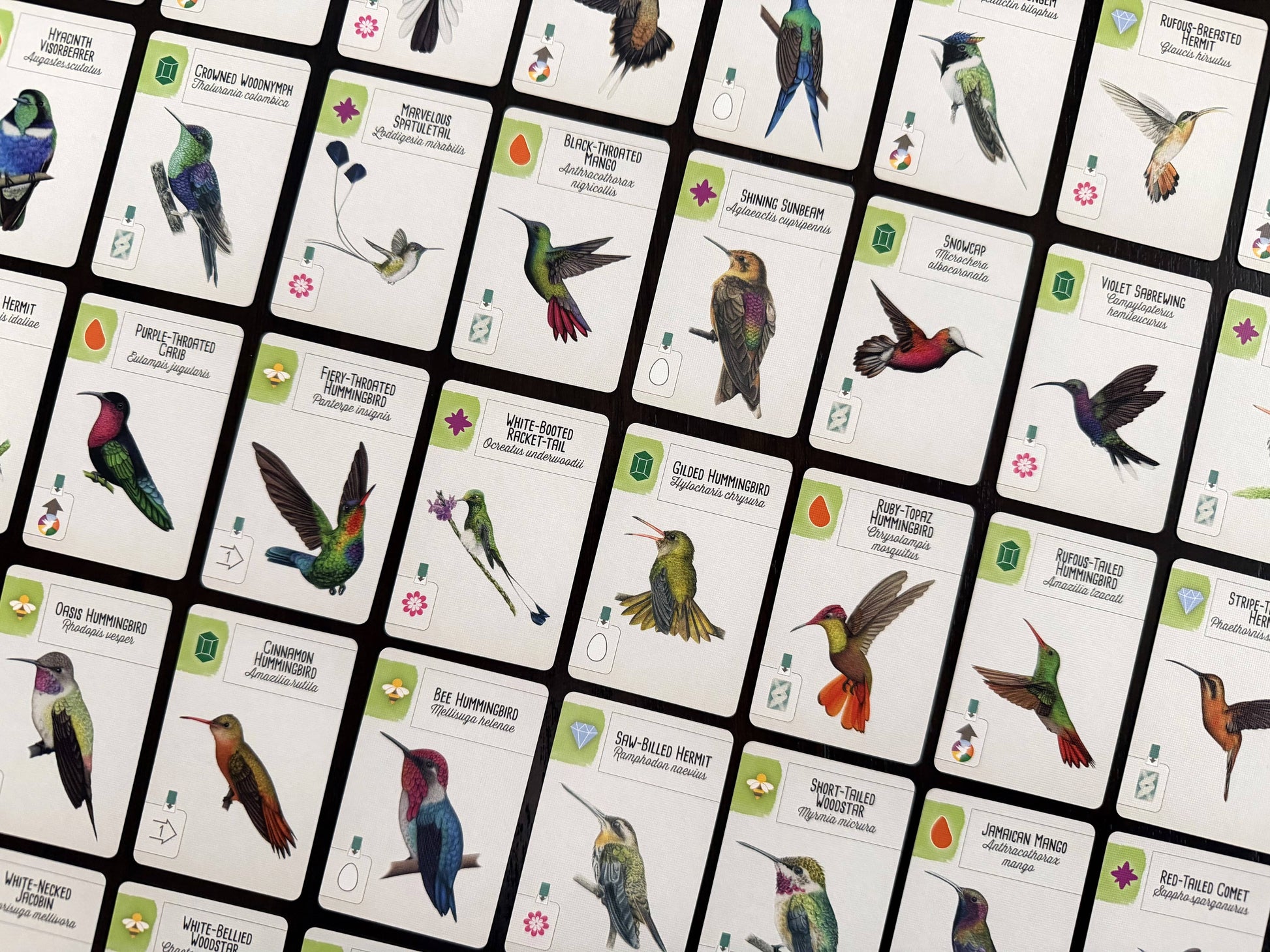 stonemaier games Stalo žaidimai Wingspan Americas EN (papildymas)