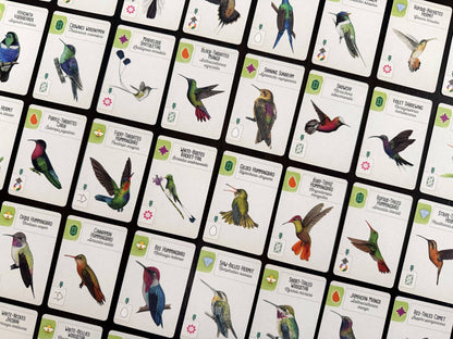 stonemaier games Stalo žaidimai Wingspan Americas EN (papildymas)