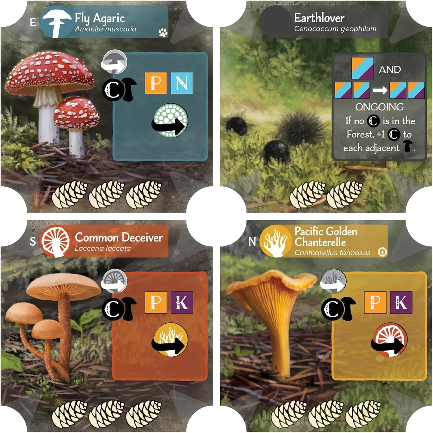 Undergrove-Stalo žaidimai-Brain Games LT