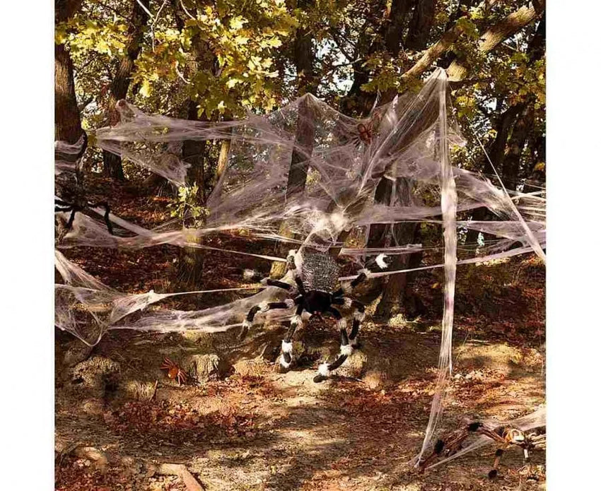 Voratinklis-Kita-Brain Games LT