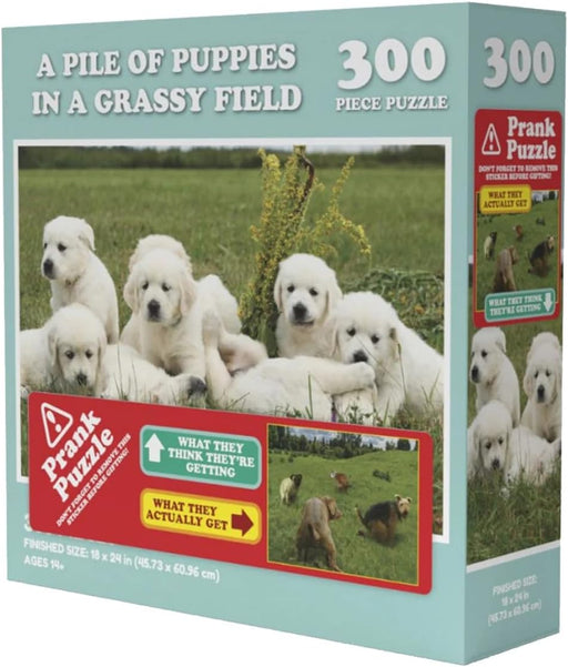 VR Distribution (UK) Limited Universalios dėlionės A pile of pupies in a grassy field, 300
