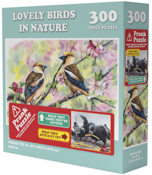 VR Distribution (UK) Limited Universalios dėlionės Doing Things Birds Prank Puzzle, 300