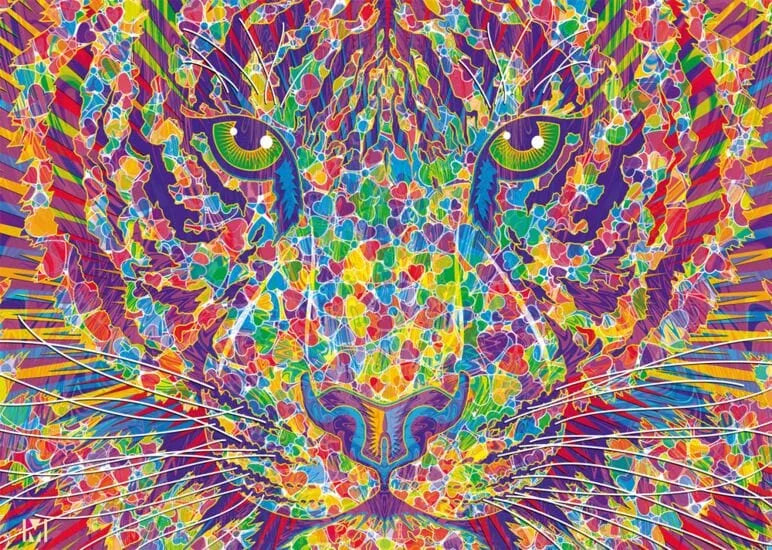 Wild at heart – Tiger, 2000-Universalios dėlionės-Brain Games LT