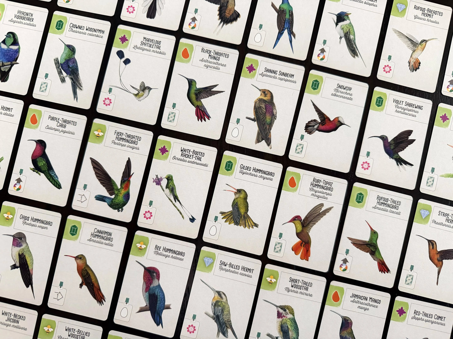 Wingspan Americas EN (papildymas)-Stalo žaidimai-Brain Games LT