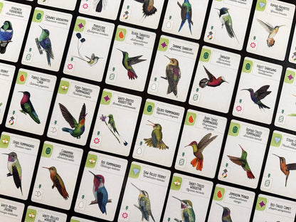 Wingspan Americas EN (papildymas)-Stalo žaidimai-Brain Games LT