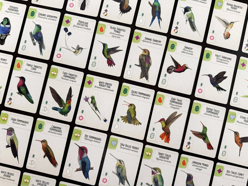 Wingspan Americas EN (papildymas)-Stalo žaidimai-Brain Games LT