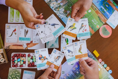 Asmodee Stalo žaidimai Wingspan: Asia (papildymas)