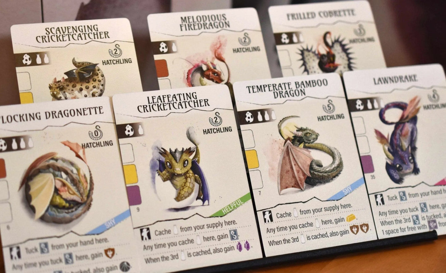 Wyrmspan-Stalo žaidimai-Brain Games LT