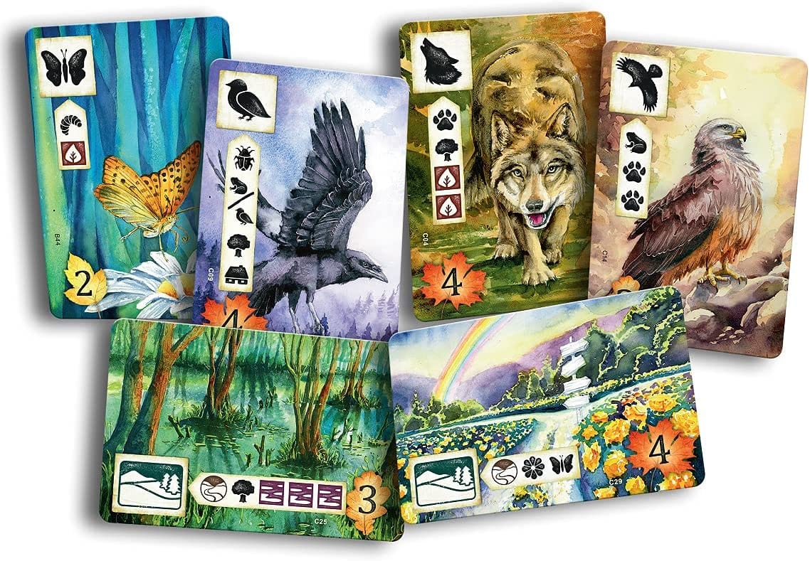 Asmodee Stalo žaidimai Meadow