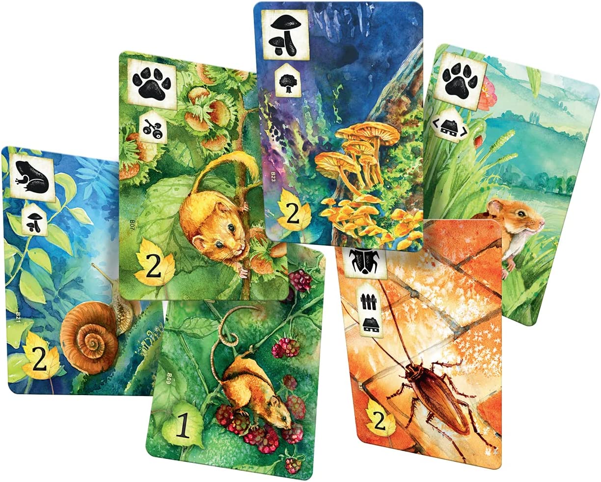 Asmodee Stalo žaidimai Meadow