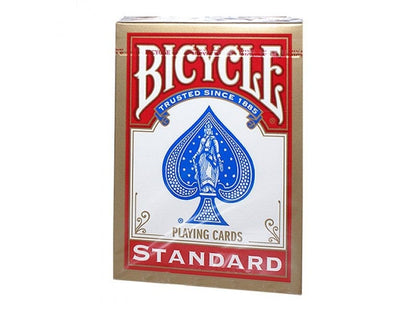 Bicycle Kita Bicycle Rider Standard auksiniu apvadu