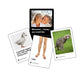 Cards Against Humanity LLC Stalo žaidimai Card Against Humanity Picture Card Pack 2 (papildymas)