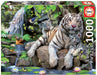 Educa Universalios dėlionės Bengal white tigers, 1000