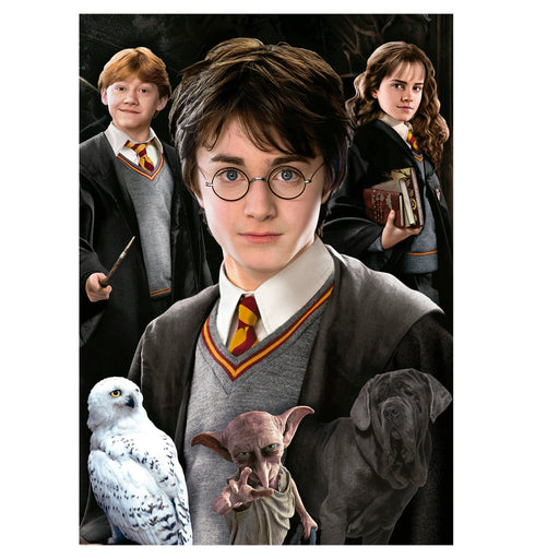 Educa Universalios dėlionės Harry Potter Miniature, 1000
