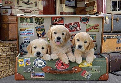 Educa Universalios dėlionės Puppies in the luggage, 500 pcs