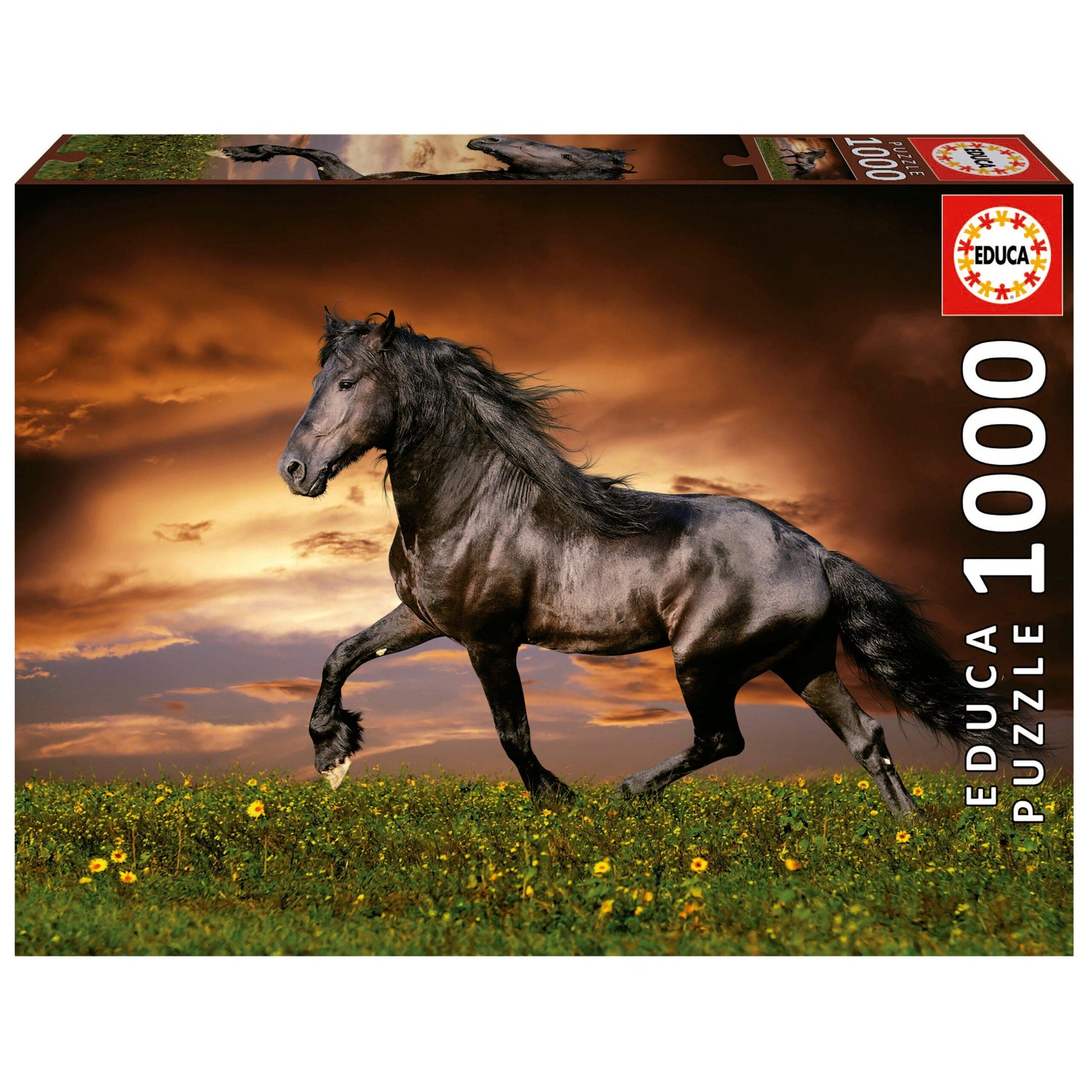 Educa Universalios dėlionės Trotting Horse, 1000