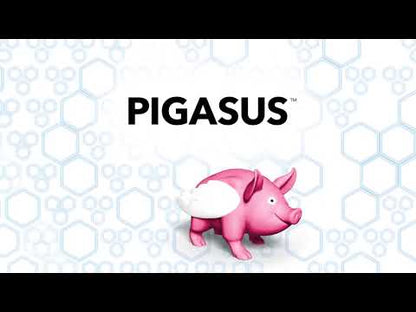 Pigasus
