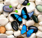 Medasle Rankdarbiai Deimantinė mozaika „Nuostabūs drugeliai“