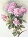 Medasle Rankdarbiai Deimantinė mozaika „Rožės“