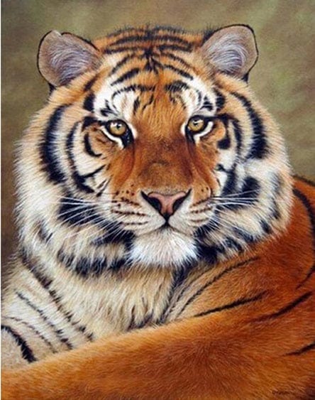 Medasle Rankdarbiai Deimantinė mozaika „Tigras“
