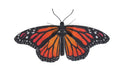 Metal Earth 3D Delionės Metal Earth Monarch Butterfly