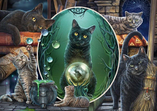 Schmidt Universalios dėlionės Magical cats, 1000
