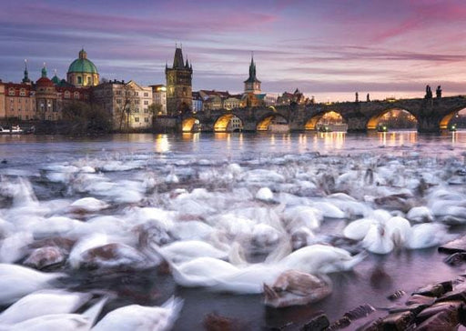 Schmidt Universalios dėlionės Prague – Swans, 1000 pcs