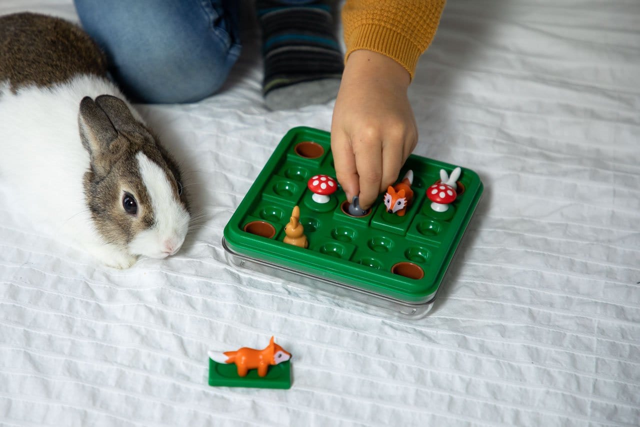 SmartGames Loginiai Žaidimai SG 421 Jump In'