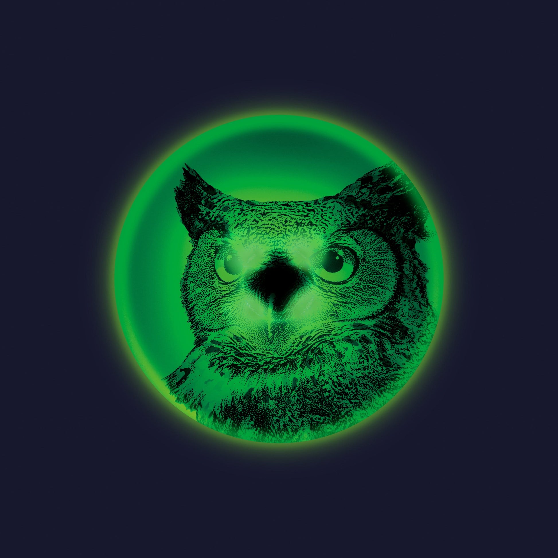 Waboba Lauko žaidimai Waboba Wingman UFO skraidantis diskas